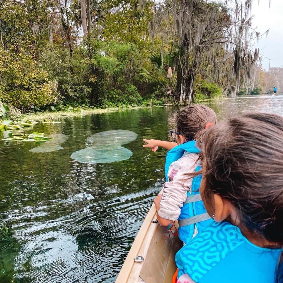 Silver Springs: Guided Glass Bottom Kayak Tour