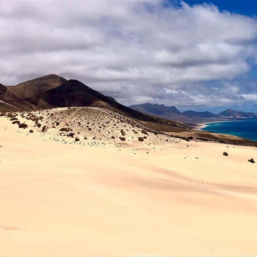 Galería de fotos para redes
