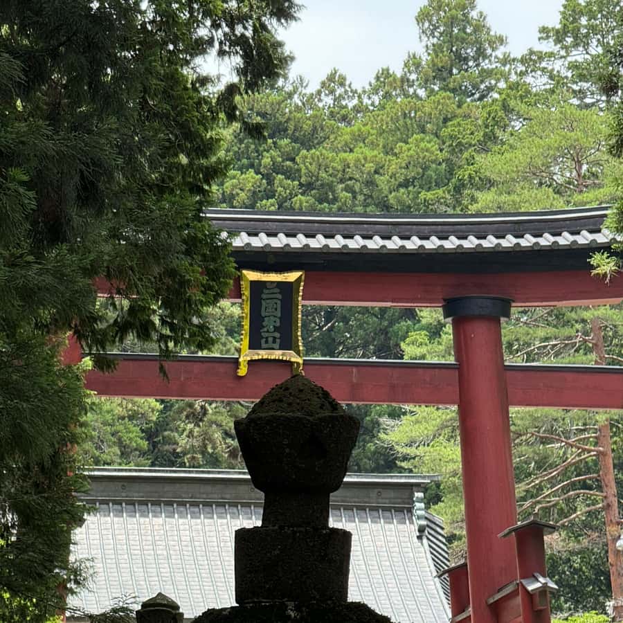 メディア コラージュ