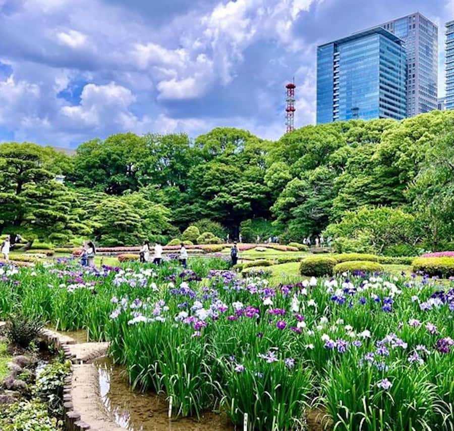 東京皇居東御苑 歴史ガイド付き | GetYourGuide