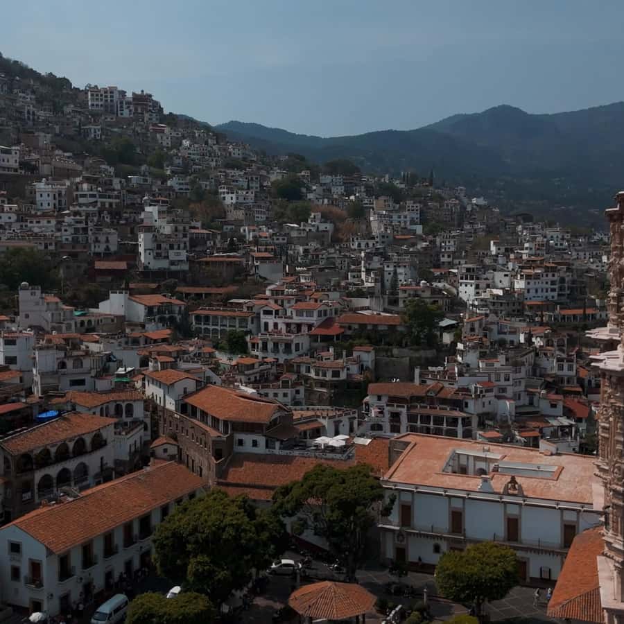 Galería de fotos para redes