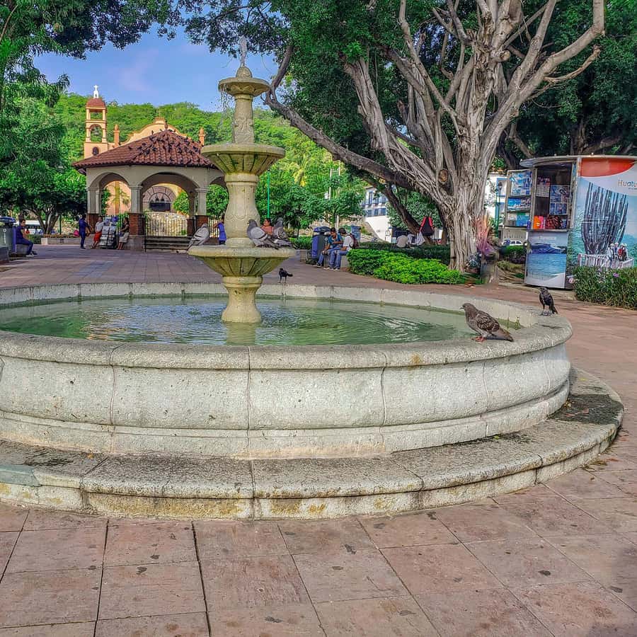 Galería de fotos para redes