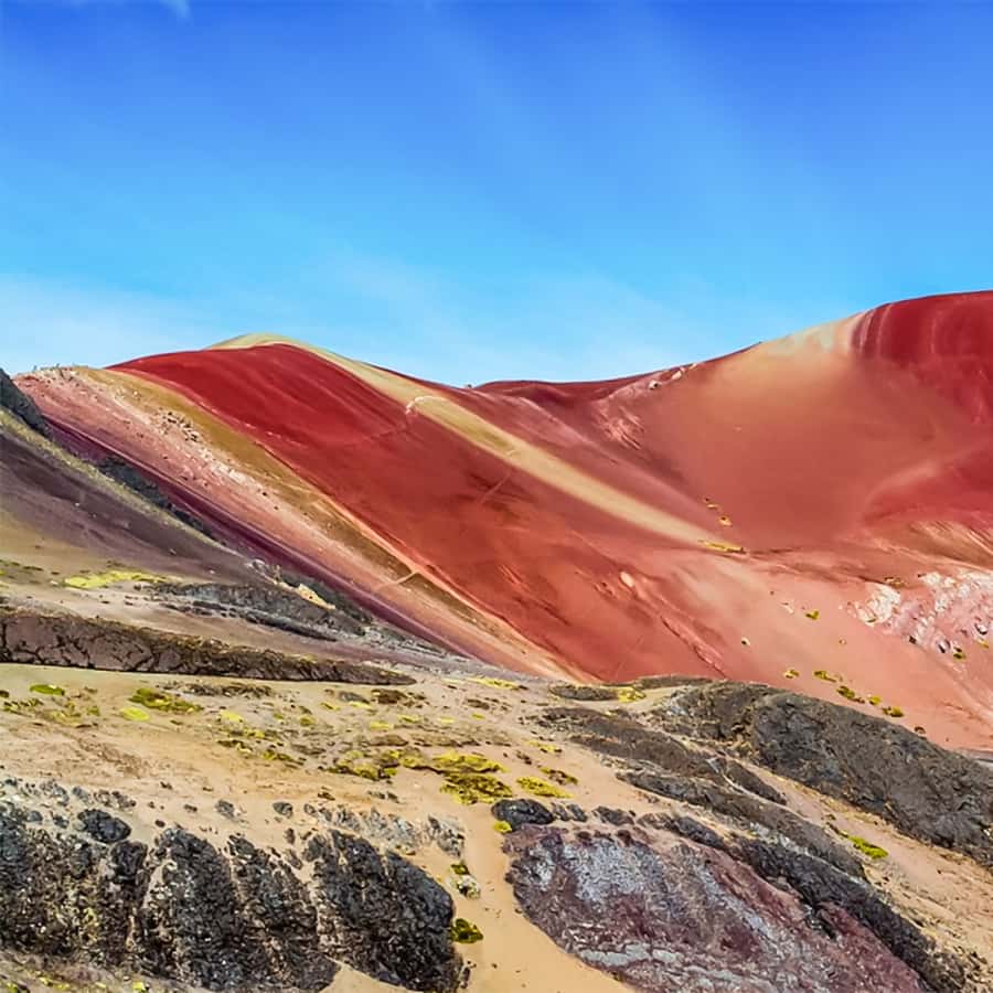 Galería de fotos para redes