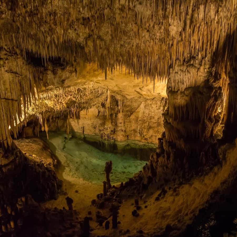 Mantle Cave Adventure - Exploring Nature's Secrets