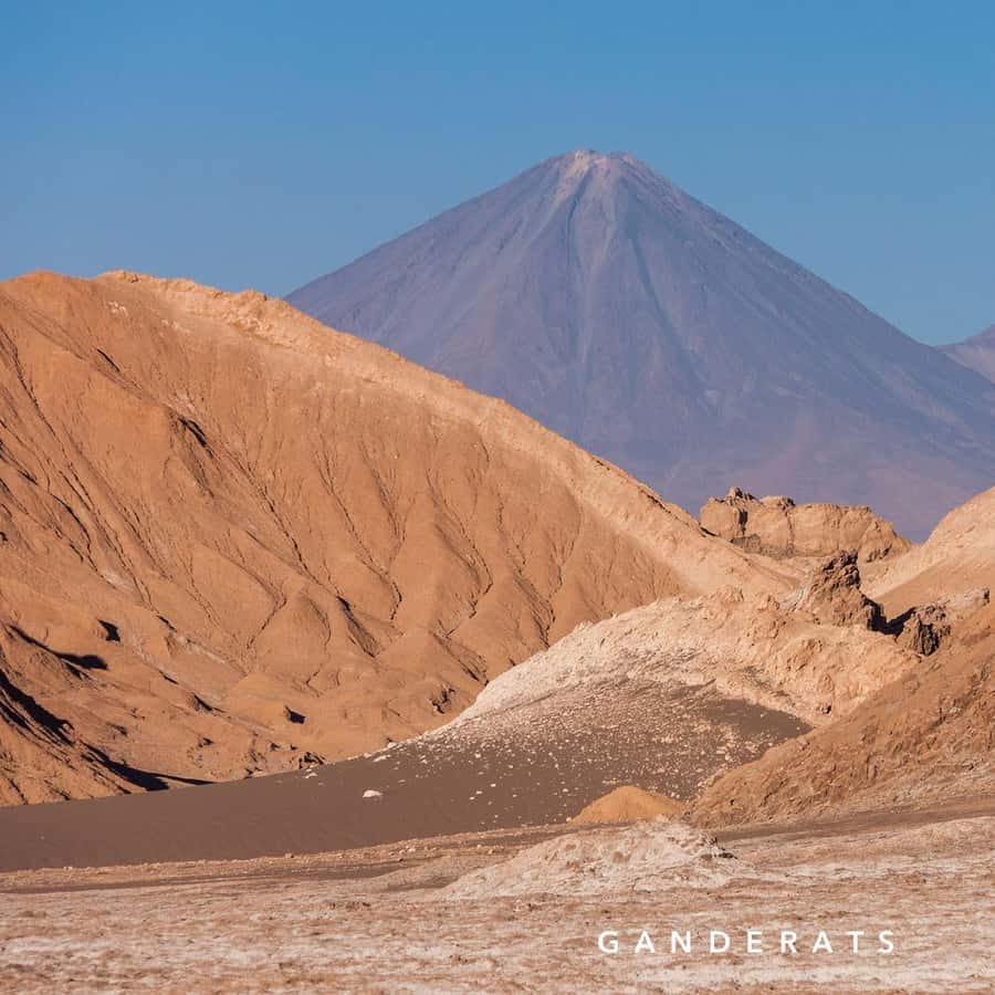 Galería de fotos para redes