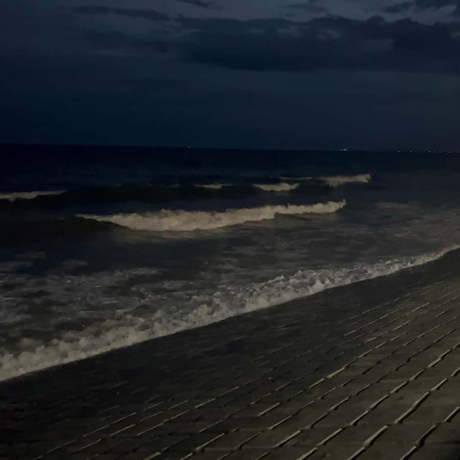 Galería de fotos para redes