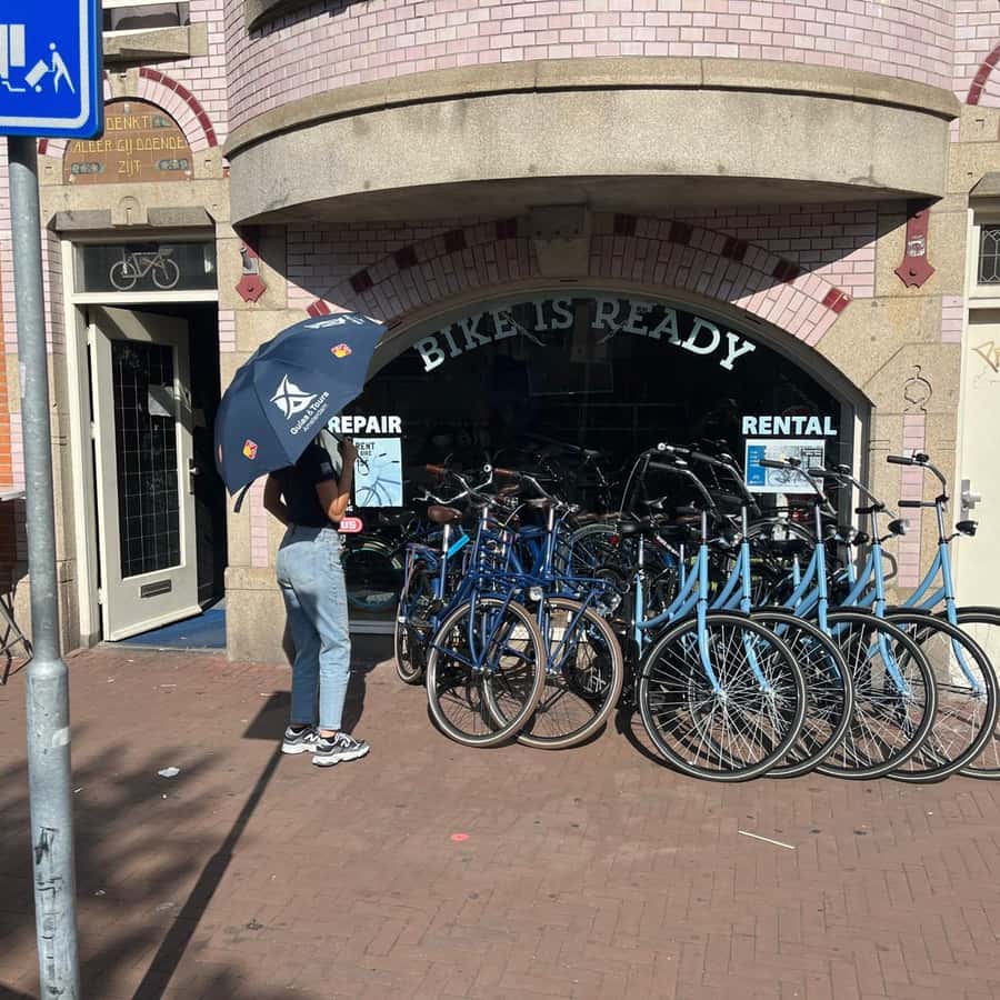 Amsterdam: Countryside Bike Tour GetYourGuide