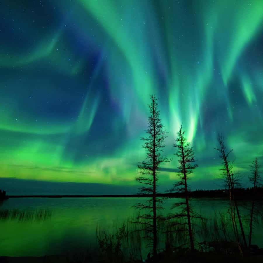 Depuis Reykjavik : Visite privée des aurores boréales | GetYourGuide, image size:900x900