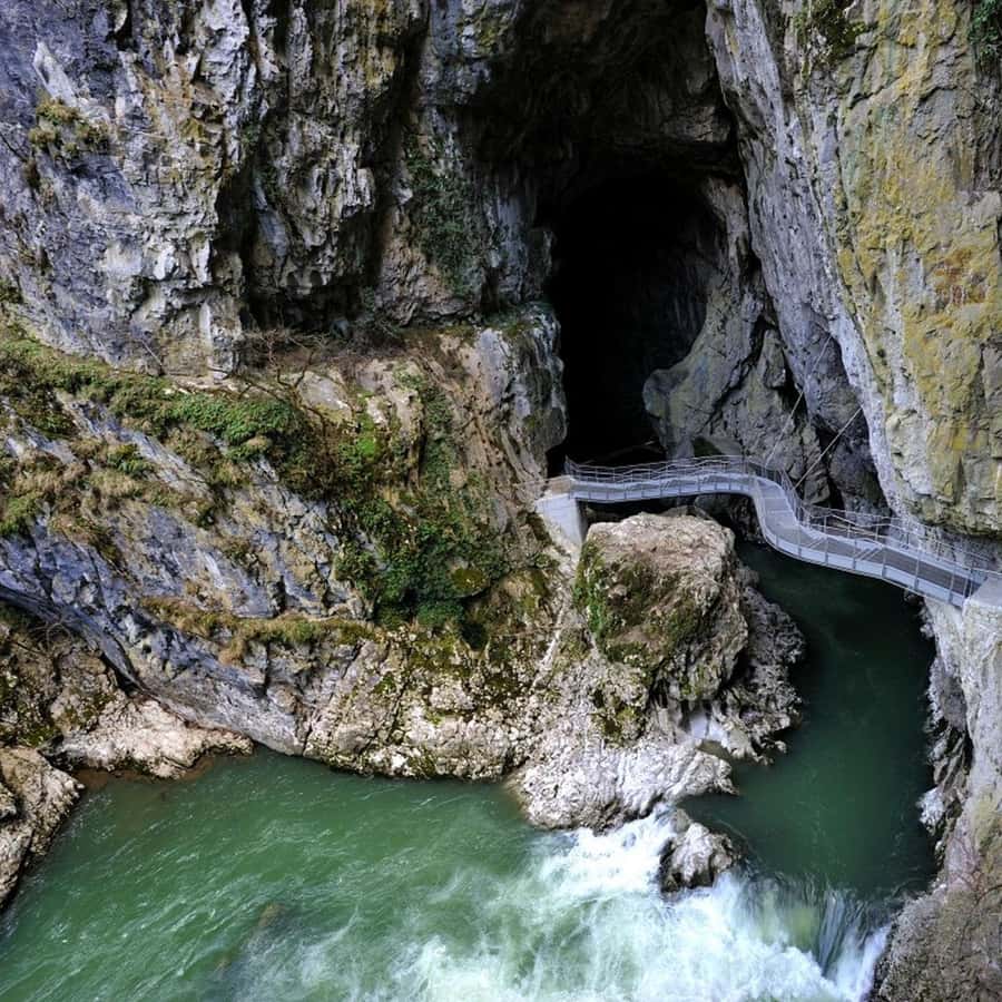 Galería de fotos para redes