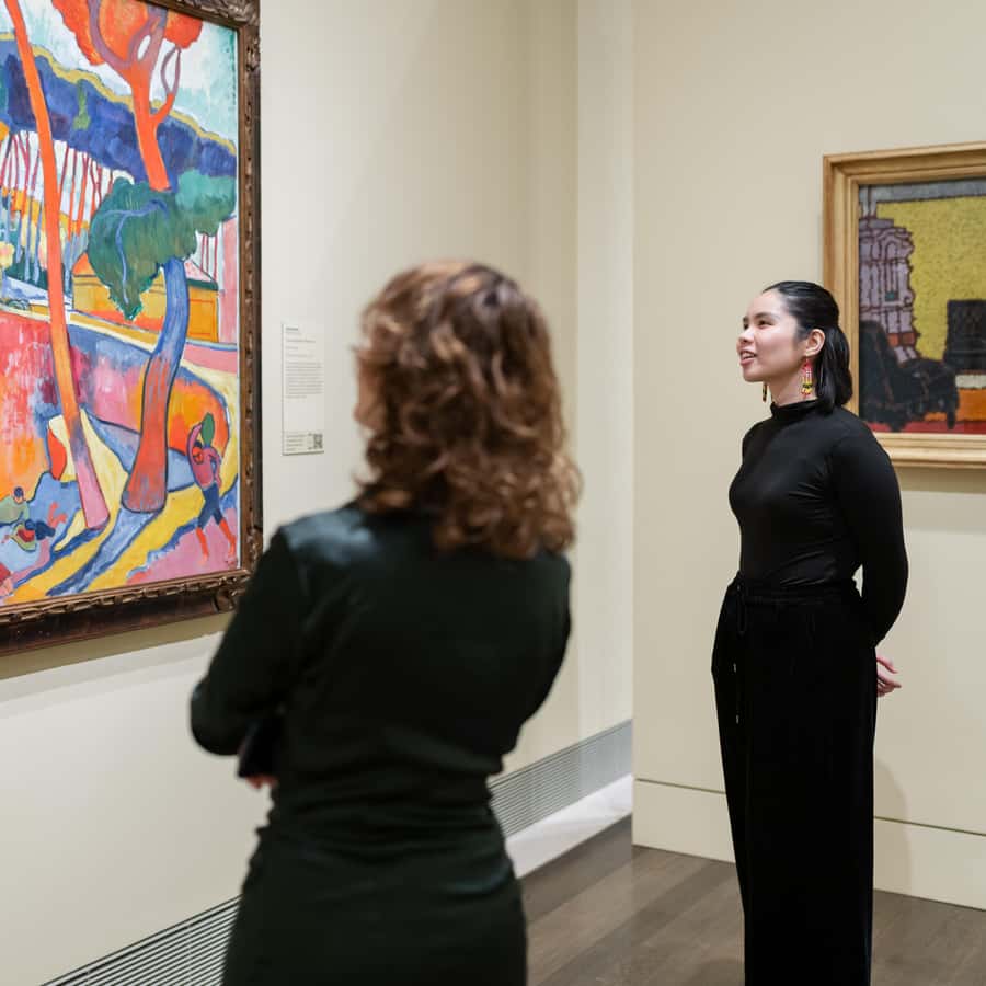Houston: The Museum of Fine Arts, Houston All Access Ticket