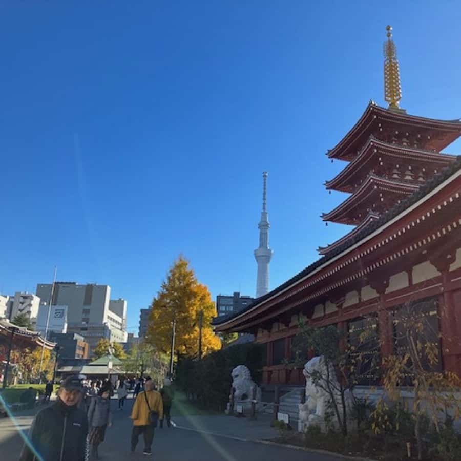 メディア コラージュ