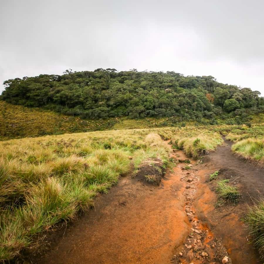 7 LUGARES PARA VISITAR EM SRI LANKA HERITAGE TOURS, image size:900x900