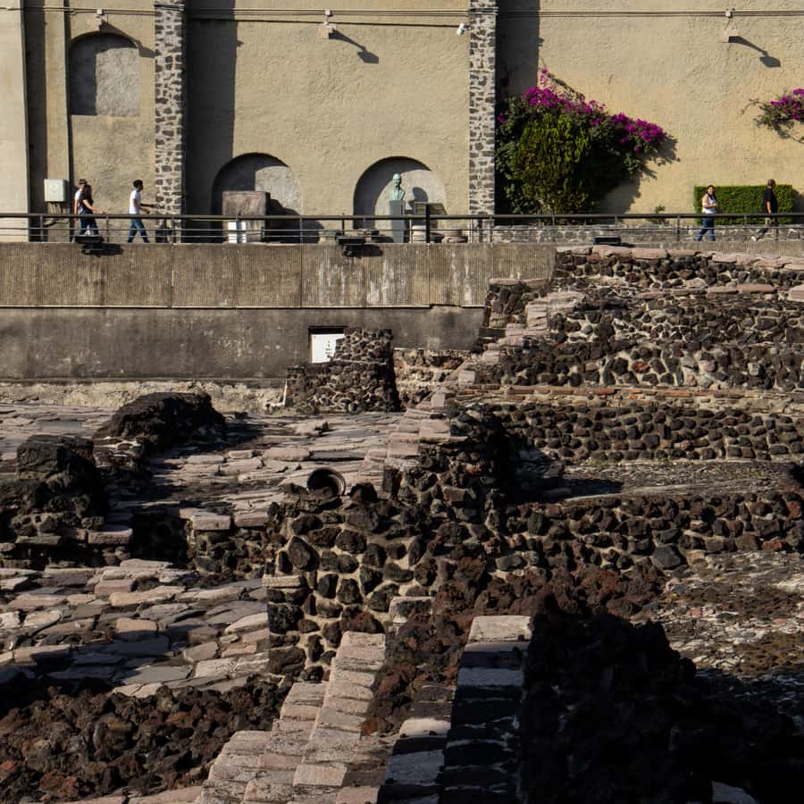 Galería de fotos para redes