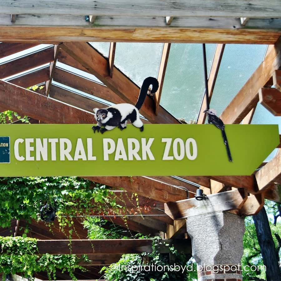 A Local’s Guide to Central Park Activities