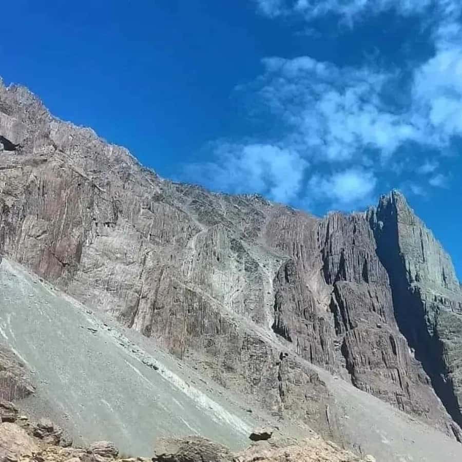Galería de fotos para redes