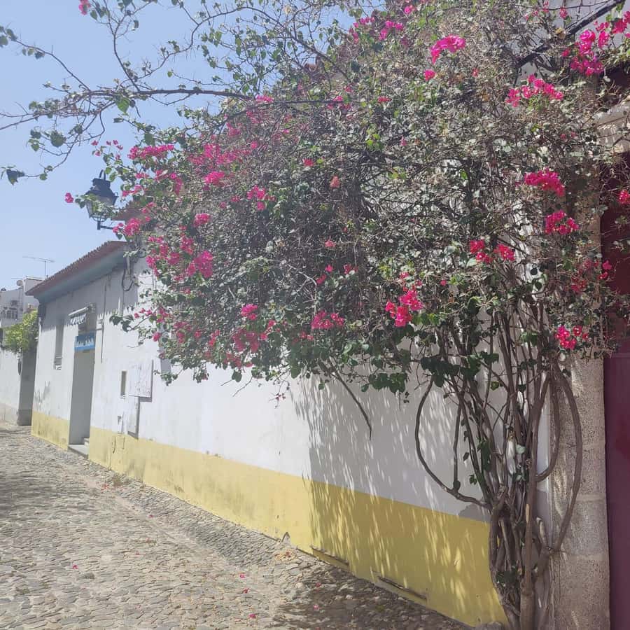 Colagem de mídia