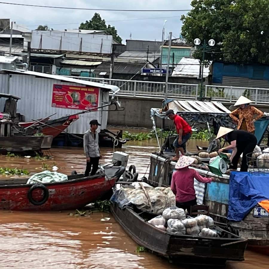 Galería de fotos para redes