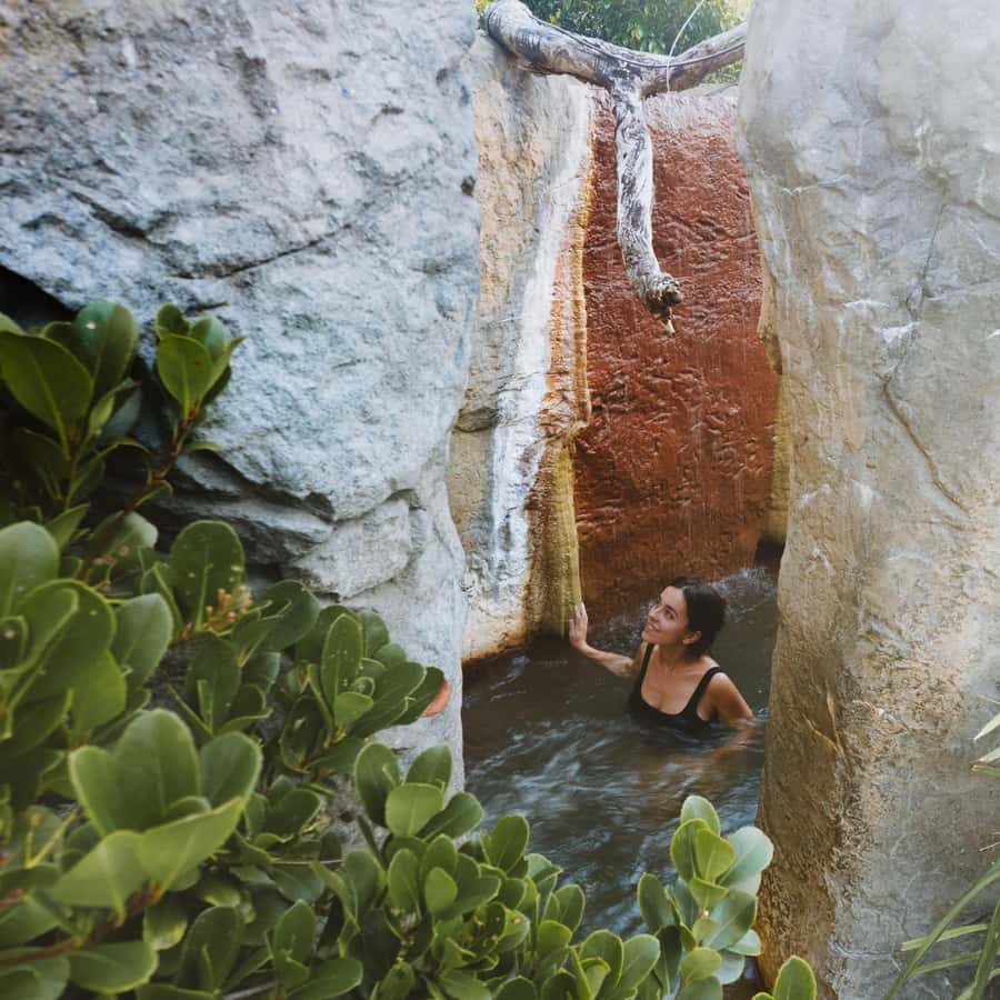 Warrnambool: Hot Springs Sanctuary Experience