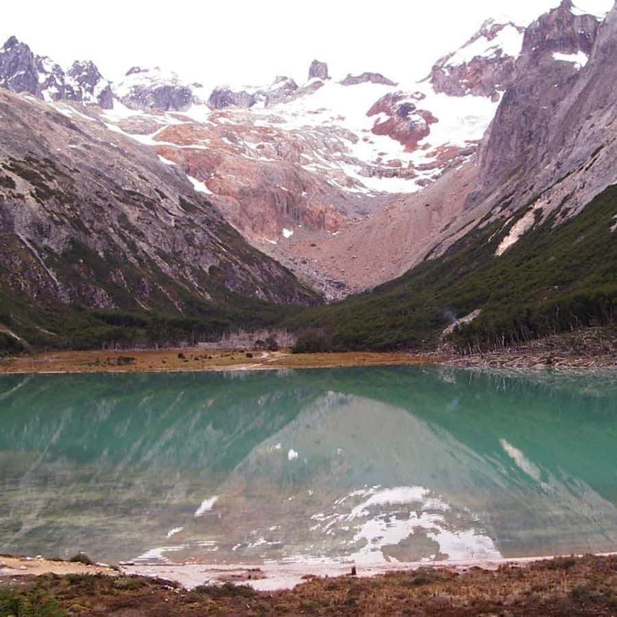 Galería de fotos para redes