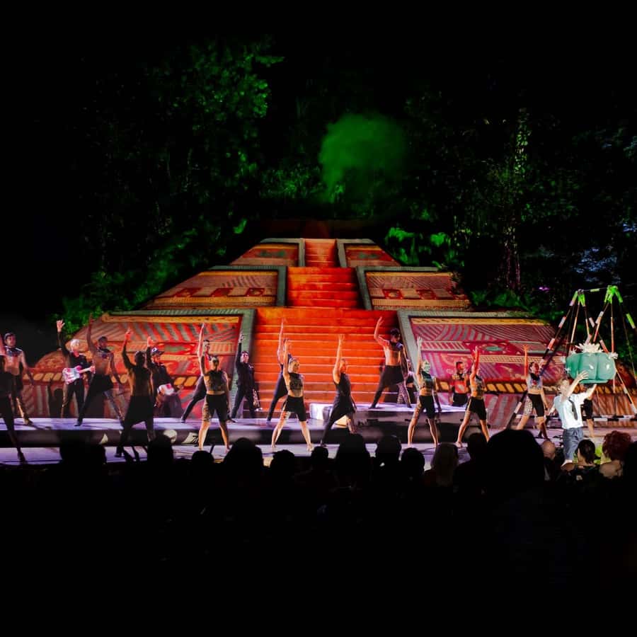 Puerto Vallarta Rhythms of the night, Show & Buffet dinner