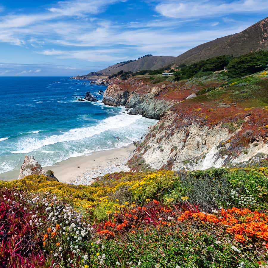 Big Sur: Sightseeing Tour with 4 to 5 Stops