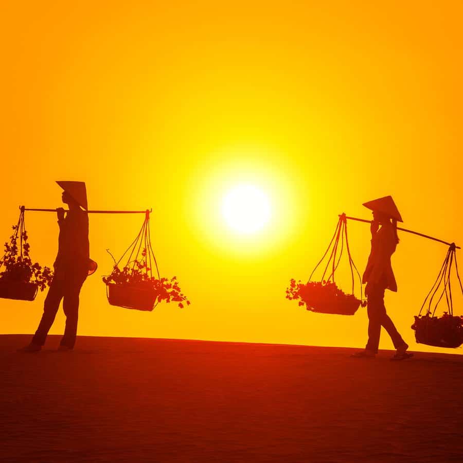 Galería de fotos para redes