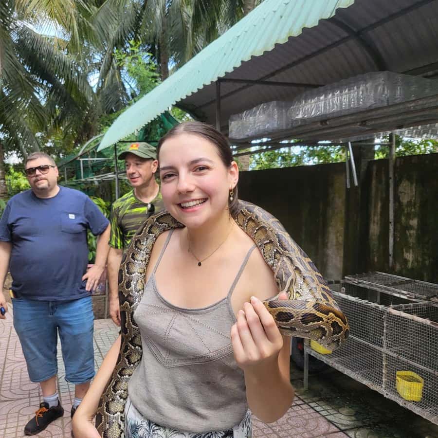 Colagem de mídia