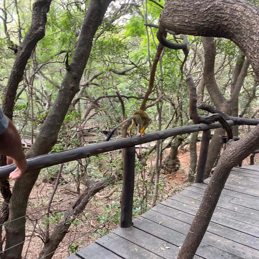 メディア コラージュ