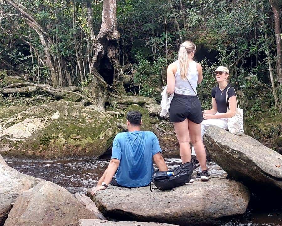 Colagem de mídia