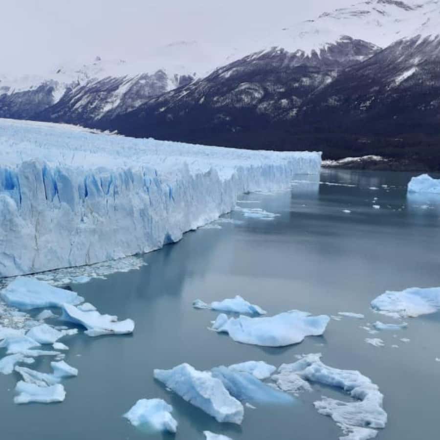 Galería de fotos para redes