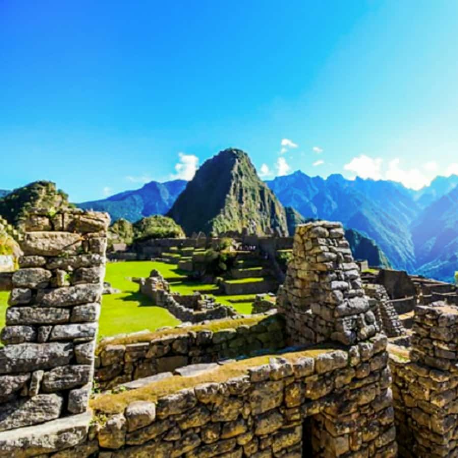 Galería de fotos para redes