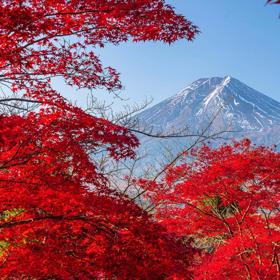 Tóquio: Monte Fuji, Parque Arakurayama Sengen, Visita a Oshino