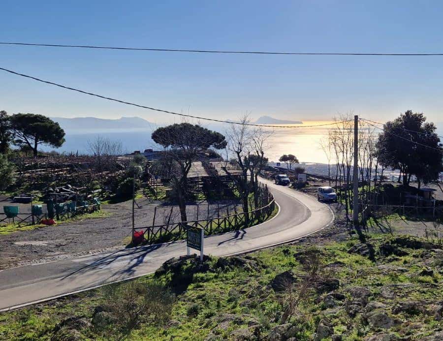 Galería de fotos para redes