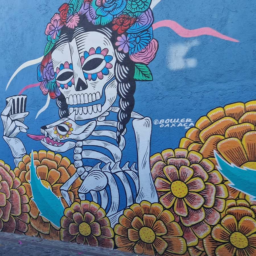 Galería de fotos para redes