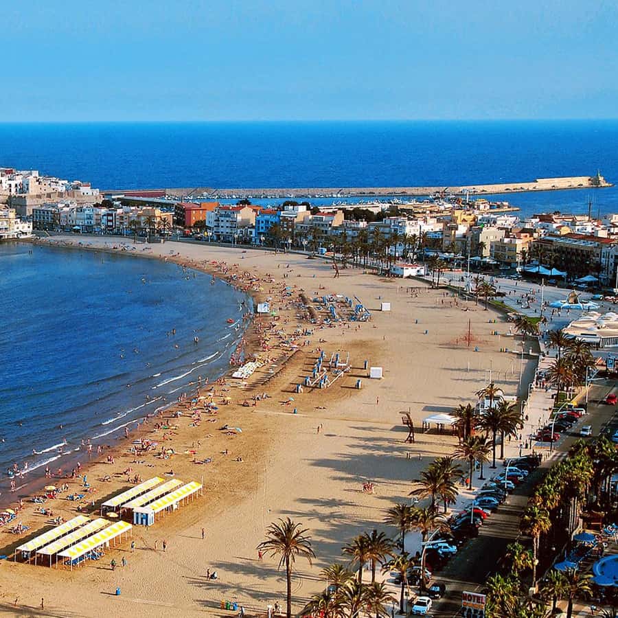 Alcudia Webcam Playa De Palma Webcam Playa De Palma Canary Islands