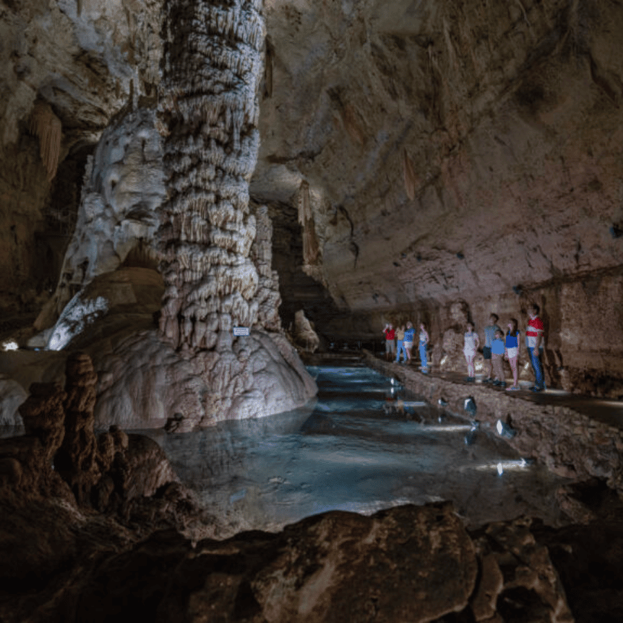 San Antonio: Discovery Tour at Natural Bridge Caverns