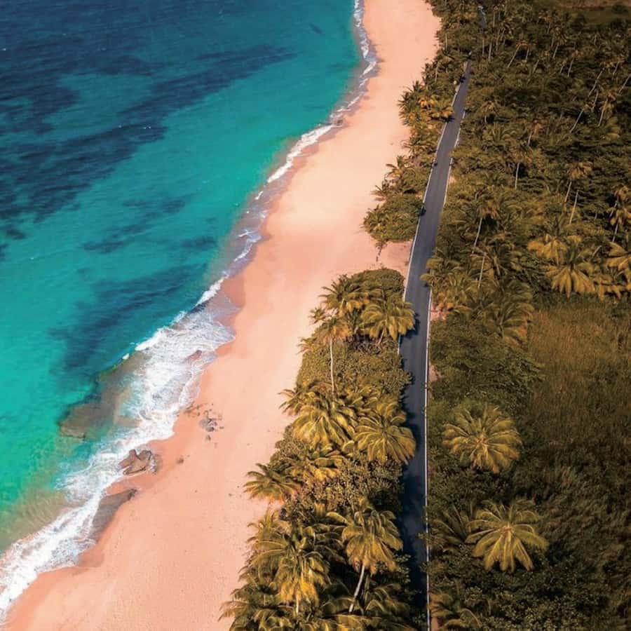 Puerto Rico: Cueva del Indio, Waterfalls, & Beach Tour