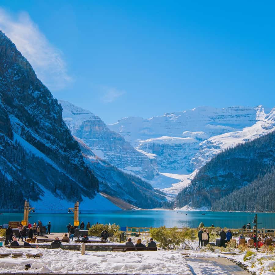 Surcingle Élastique Pour Cheval - Achat 1 = 1 Gratuit ! Livraison Gratuite