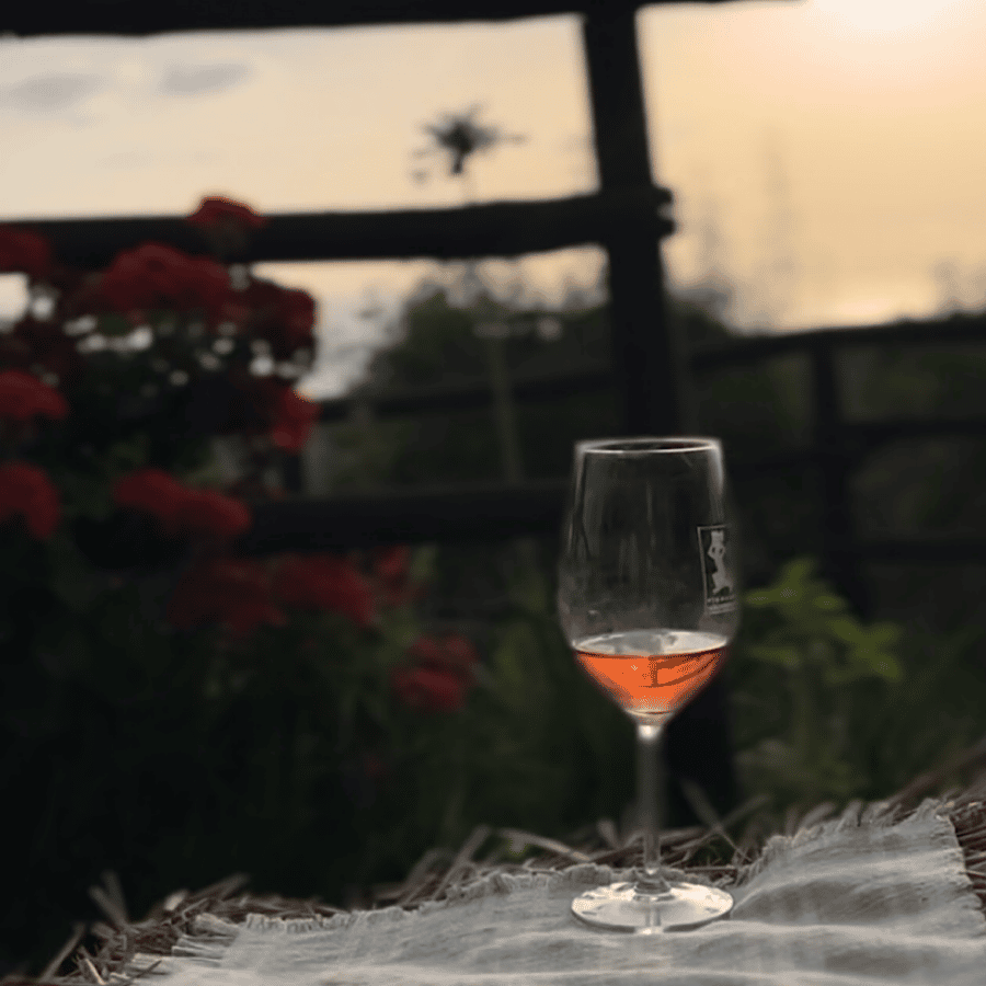 Tropea: Degustación de vino y comida | GetYourGuide, image size:900x900