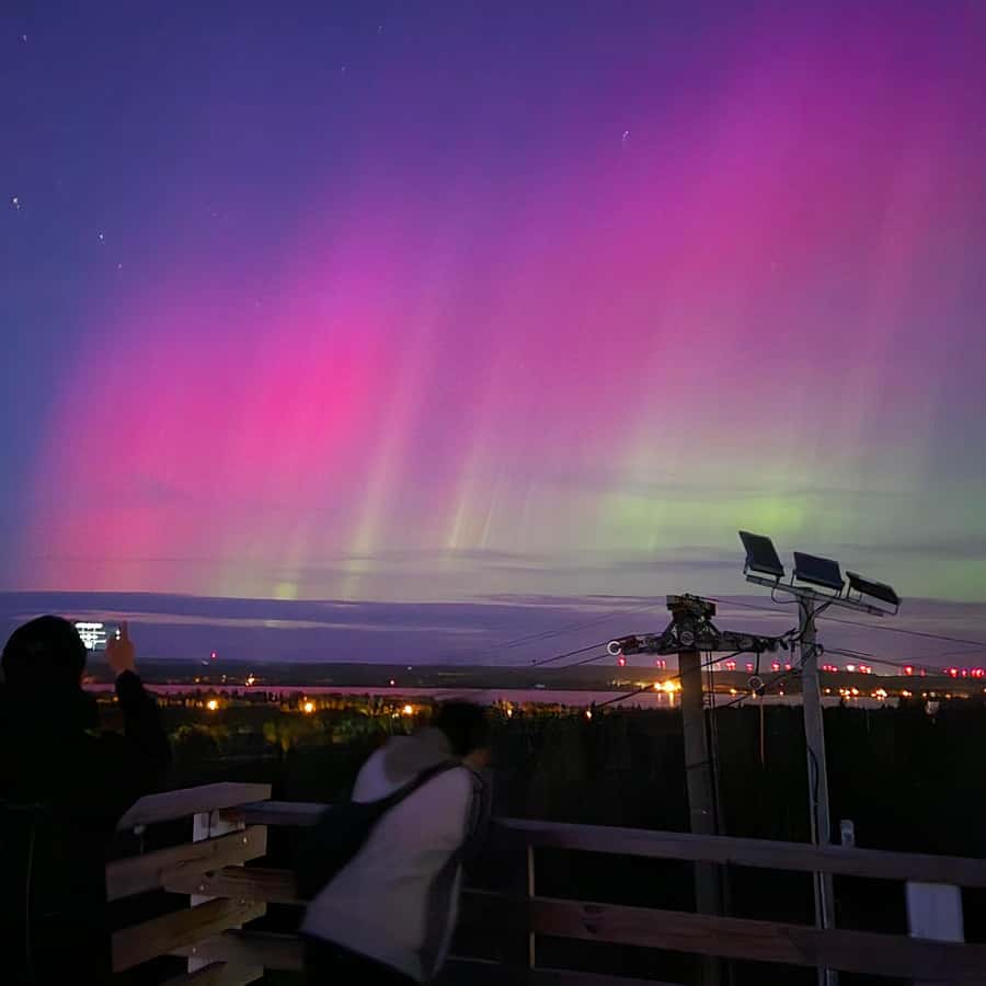 Galería de fotos para redes