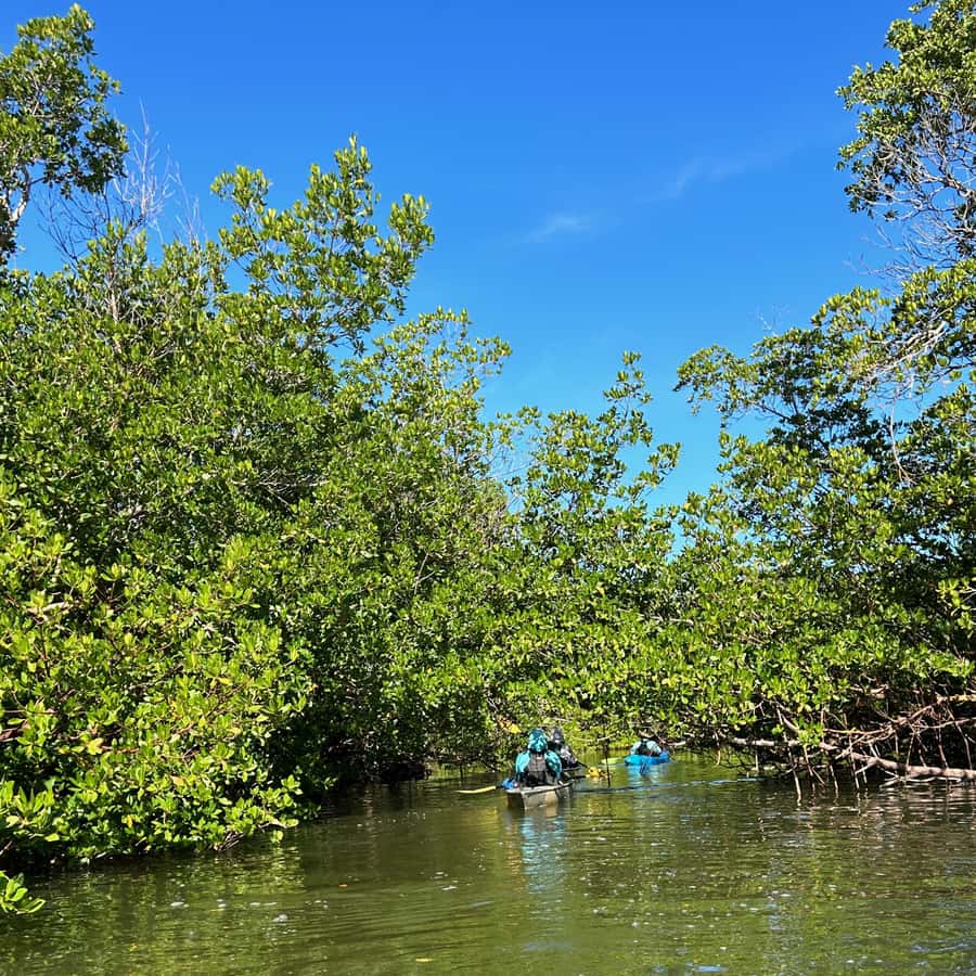 Натуристы маленькие ню 