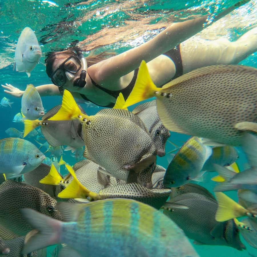 LOS CABOS ARCH & LOVER'S BEACH TOUR + SNORKELING TOUR