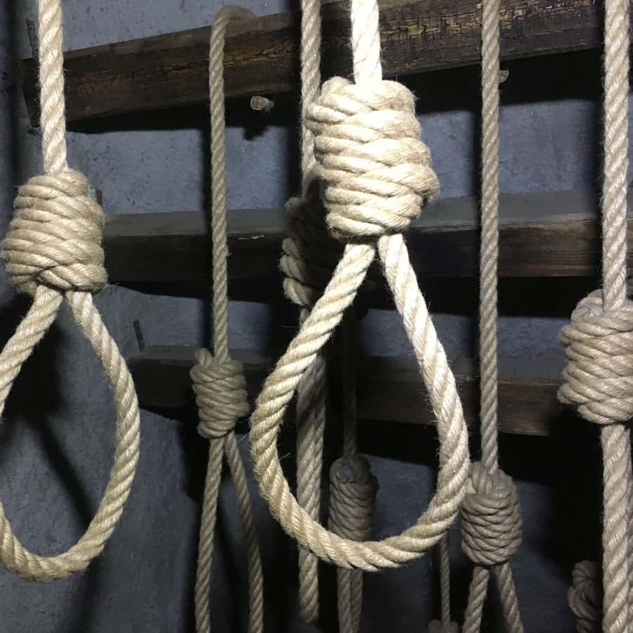 Colagem de mídia