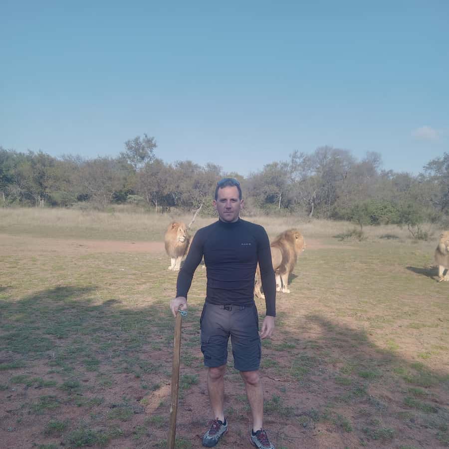 walking with lions
