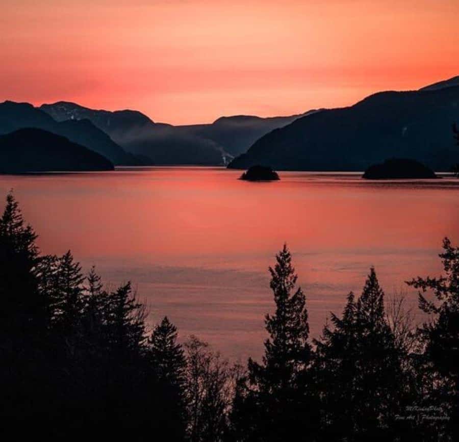 Vancouver: Sunset Boat Cruise with Complementary Bubbly