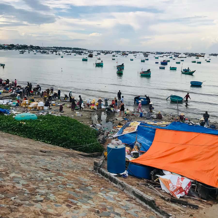 Galería de fotos para redes