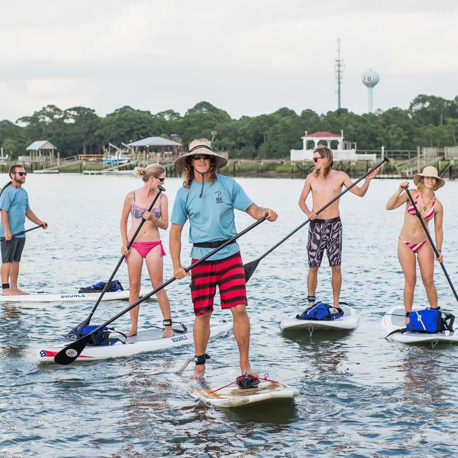 Charleston: Folly Beach Stand Up Paddleboard Dolphin Safari