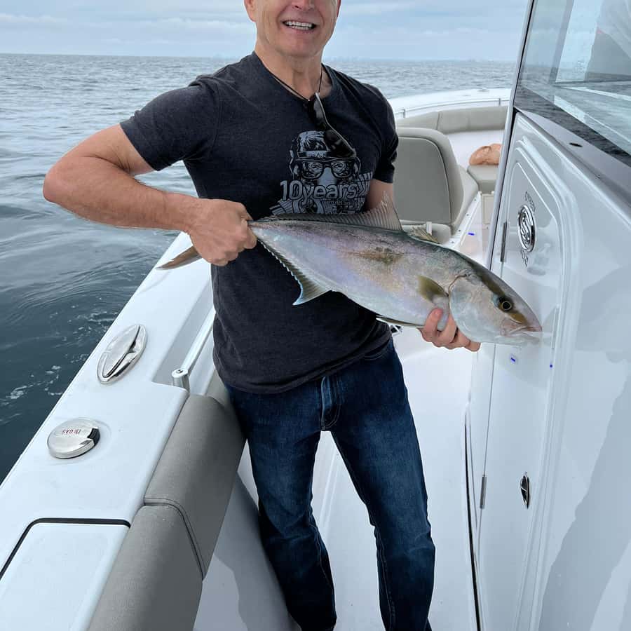 德斯汀：魚和樂趣德斯汀！ | GetYourGuide