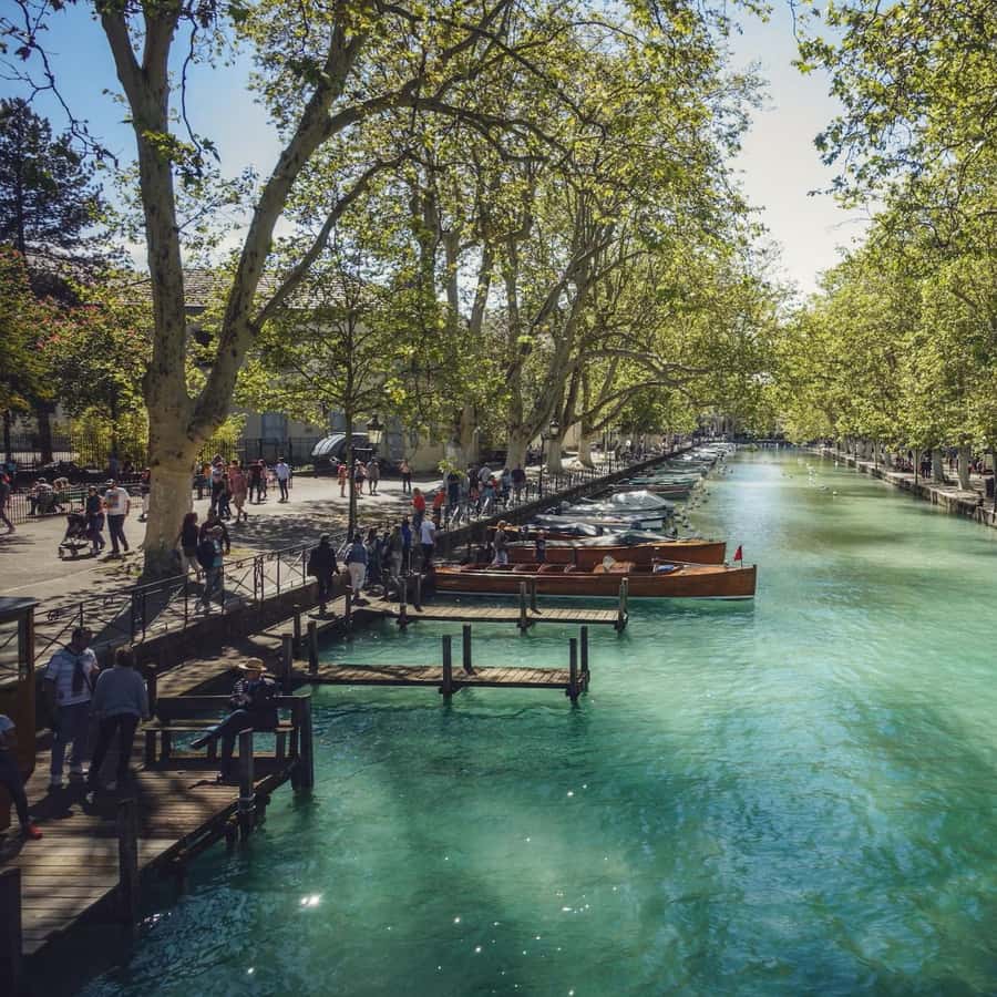 Excursion d'une journée dans les Alpes françaises, de Genève à