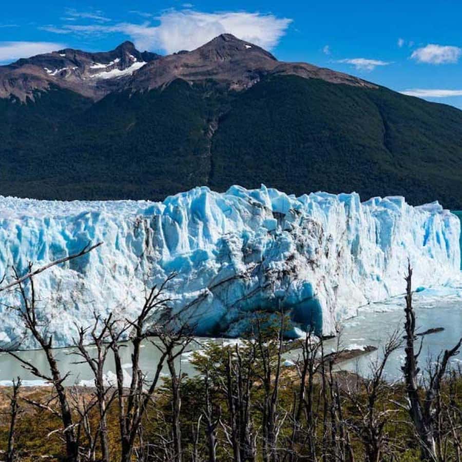 Galería de fotos para redes